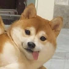 Nguyễn Minh Triết avatar